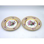 A pair of large Dresden hand painted cabinet plates of roses and butterflies,