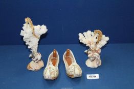 Two interesting Oceanic shell and coral arrangements, 7 1/2" tall and 5 1/2" tall,