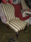 A Victorian green/beige striped upholstered spoonback low Chair having scroll front legs (backrest