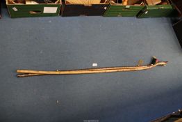 Two walking staffs, one being hazel with a carved cock pheasant knob, about 51" long,