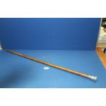An exotic 20th century walking Cane with deep engraved silver top and original ferrule,