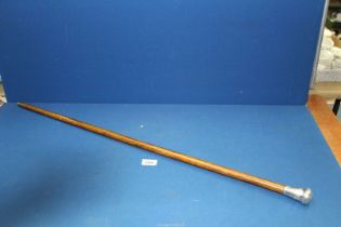An exotic 20th century walking Cane with deep engraved silver top and original ferrule,
