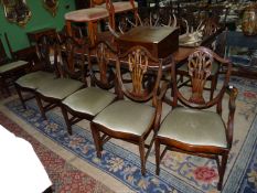 A set of twelve Mahogany Hepplewhite design shield back Dining Chairs (including a pair of carver