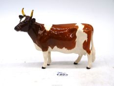 A Beswick Ayrshire cow 'Ch Ickham Bessie 198'.