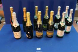 Twelve bottles of sparkling wine including; Moscato Spumante, Ackerman, Marquis De La Tour, etc.