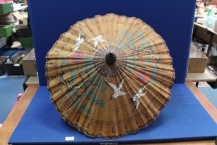 A Malaysian Parasol.