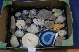 A box of Minerals and Fossils