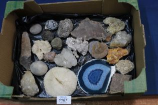 A box of Minerals and Fossils