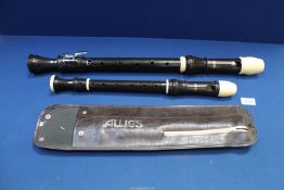 Two Aulos Recorders; Tenor and Treble, plus a soft case .