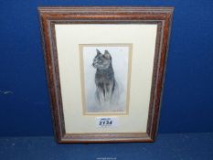 A small Watercolour of a cat by Hereford artist Helen C. Jones, 7 1/4" x 9 1/4".
