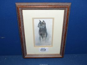 A small Watercolour of a cat by Hereford artist Helen C. Jones, 7 1/4" x 9 1/4".