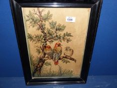 A framed Watercolour depicting three birds perched in a tree, signed lower right L.A. Hughes.
