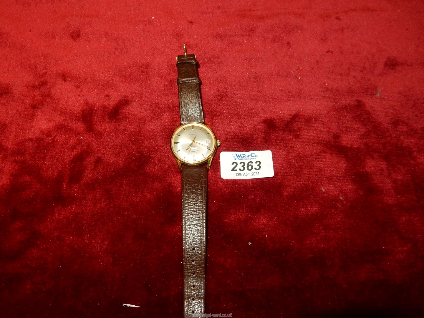 A gents Avia 30 jewel "Daytime" Wristwatch with leather strap.