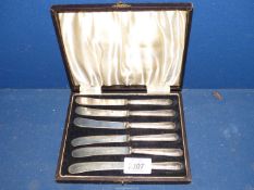 A cased set of six butter Knives having Sheffield silver handles in ribbon and reed pattern.