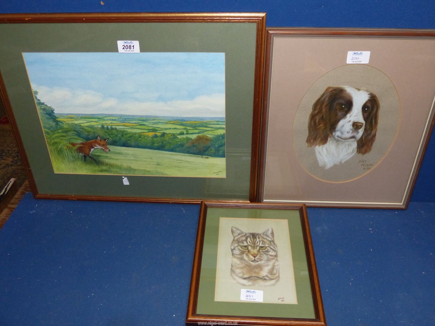 A framed and mounted Watercolour of a fox breaking cover and stalking rabbits, signed lower right J.