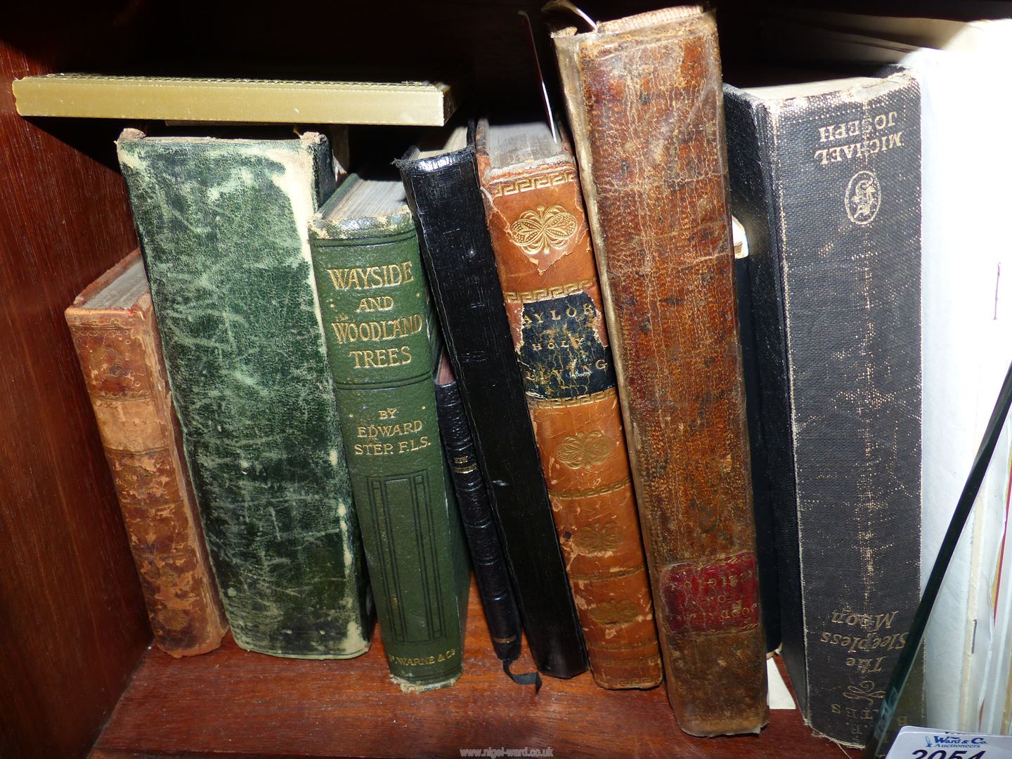 A small wooden bookcase with glass doors containing books to include Wayside and Woodland Trees, - Bild 3 aus 3