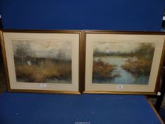 Two framed and mounted Oil paintings depicting mallards taking flight,