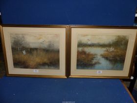 Two framed and mounted Oil paintings depicting mallards taking flight,