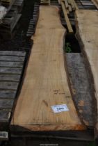 A length of Oak Rough Cut timber 15" wide x 126" long.