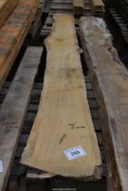 A length of Oak Rough Cut timber 12" wide x 126" long.