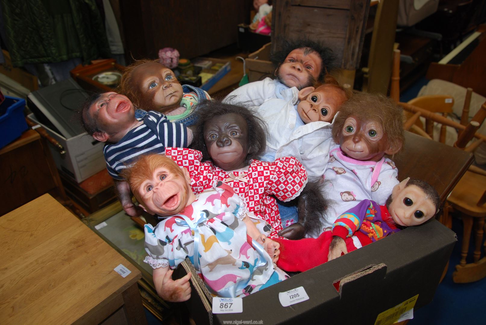 A quantity of Reborn monkey dolls.