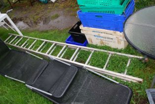 A 12 rung aluminium extending ladder.