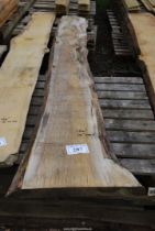 A length of Oak Rough Cut timber 15" wide x 126" long.
