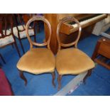 Two dining chairs.