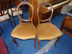 Two dining chairs.