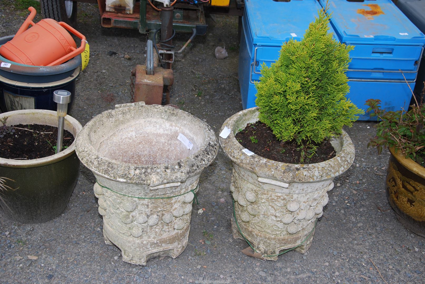Two circular planters, one with a conifer, 18" diameter x 171/2" high.