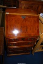 Small Yew-wood Bureau, 20'' wide x 19'' deep x 37'' high approx.