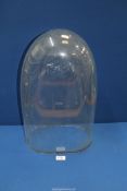 A 19th century Glass Dome, 19'' high x 11'' wide.