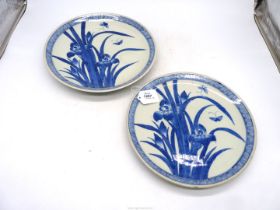 Two Oriental blue and white Chargers decorated with butterflies and irises, 12 1/4" diameter.