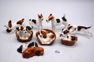 Eight Royal Doulton dogs to include puppies in baskets, terriers etc.