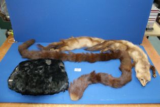 Two fur scarves and black fur muff.