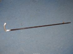 A walking Cane having German silver handle marked 830, initials engraved at the end of the handle.