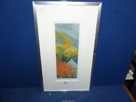 A framed and mounted Limited Edition no. 20/100 Print titled.