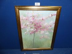 A framed and mounted Oil on canvas depicting a young tree in full blossom.