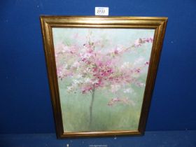 A framed and mounted Oil on canvas depicting a young tree in full blossom.