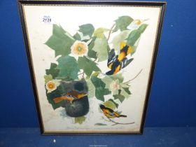 A framed print titled Baltimore Oriole, 14 1/2" x 17 1/2".
