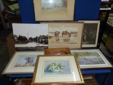 A quantity of prints including Bluebell Wood by Gordon Beningfield,