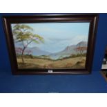 A framed Oil on board depicting an African landscape, signed lower left Piet Houthnysen?,