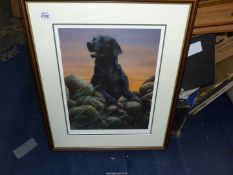 A Limited Edition (no. 84/495) Labrador Print by Nigel Hemming, signed in pencil by the artist.