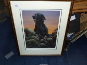 A Limited Edition (no. 84/495) Labrador Print by Nigel Hemming, signed in pencil by the artist.
