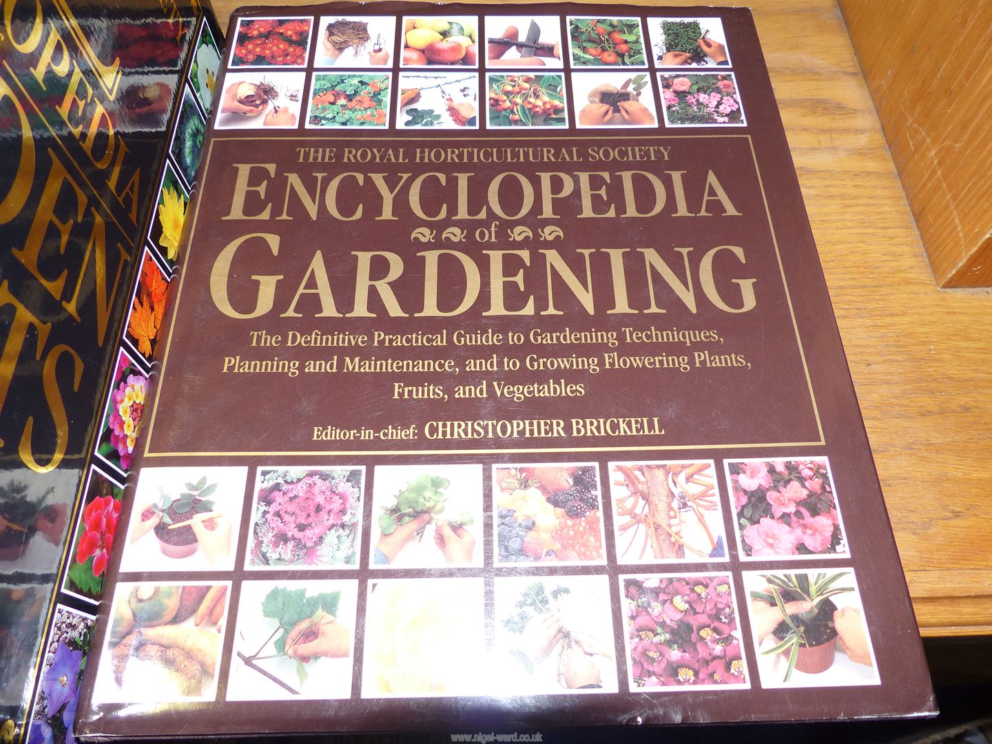 Three books A-Z Encyclopedia of Garden Plants, David Attenborough Life in Cold Blood etc. - Image 4 of 4