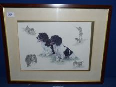 A framed and mounted Spaniel Print by Nigel Hemming.