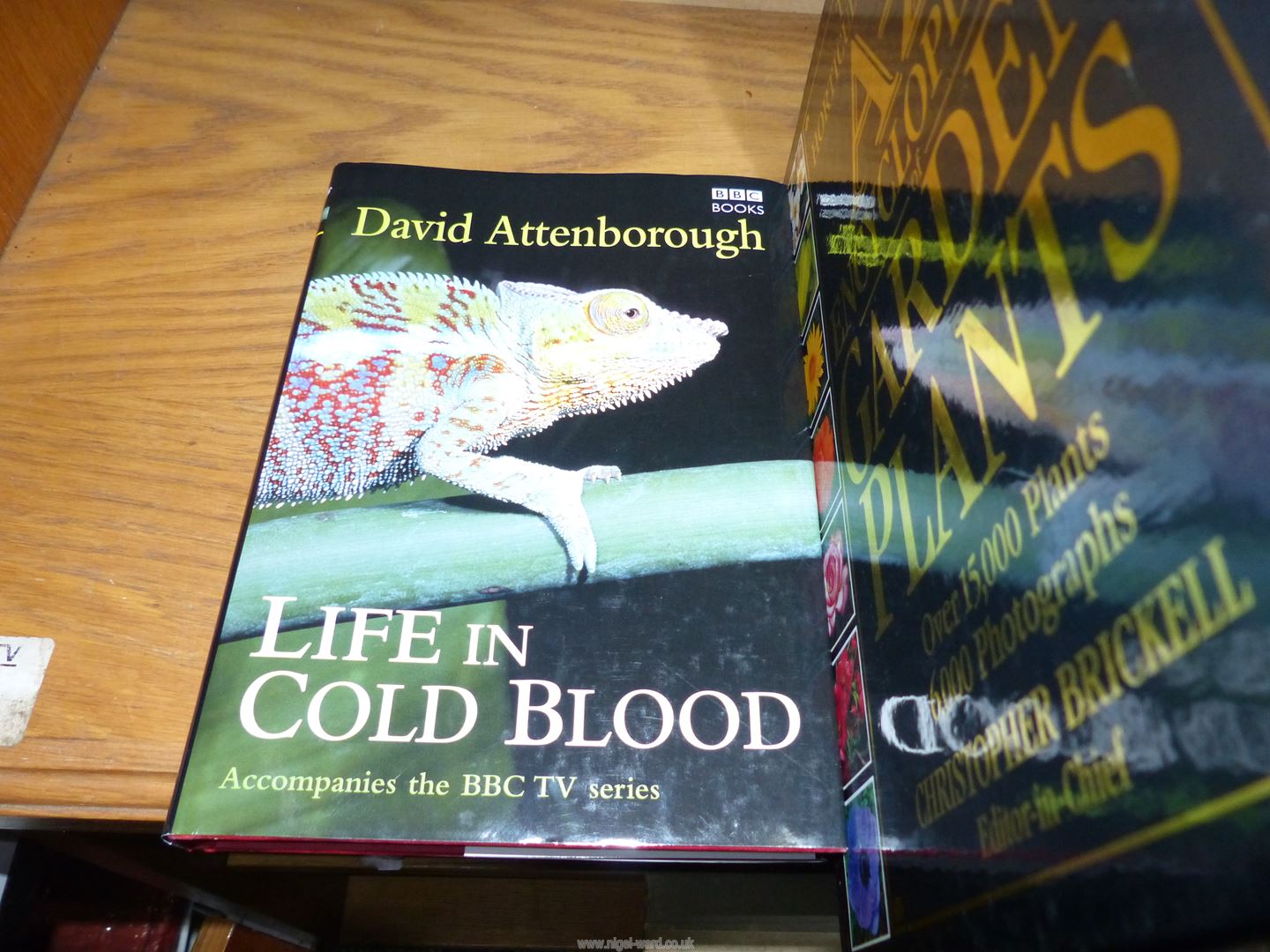 Three books A-Z Encyclopedia of Garden Plants, David Attenborough Life in Cold Blood etc. - Image 2 of 4