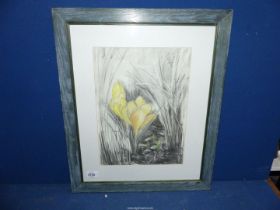 A framed and mounted mixed media drawing titled verso "Crocus 2", signed lower right S.