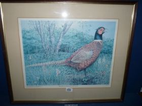 A framed and mounted Limited edition Print, no.