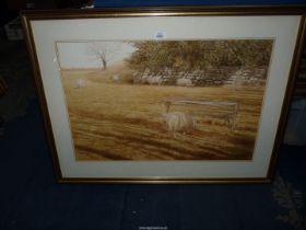 A large framed and mounted David Tress Watercolour, titled "Early March" depicting Sheep in field,